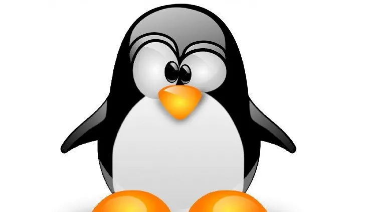 Linux Server Administration Made Easy with Hands-on Training