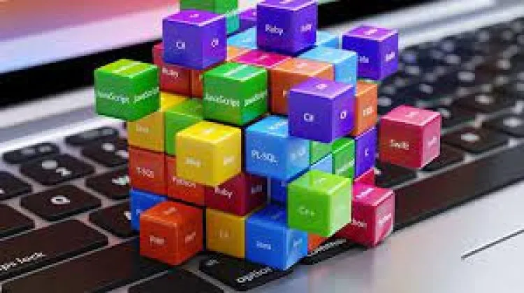 Python & R Programming