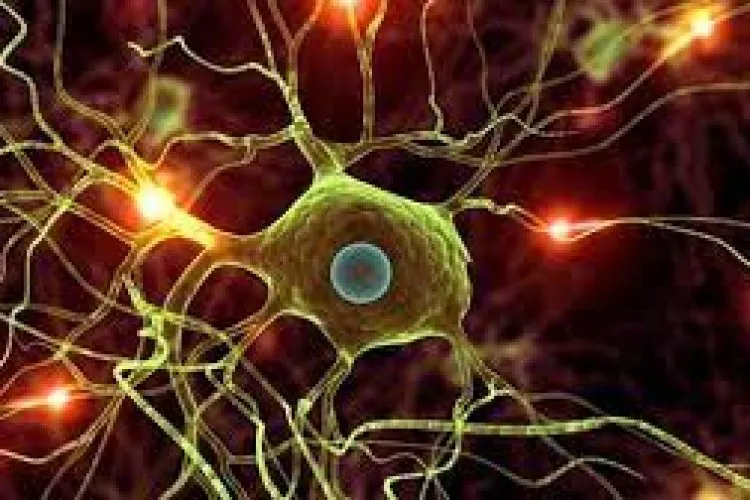 Modern Deep Learning in Python