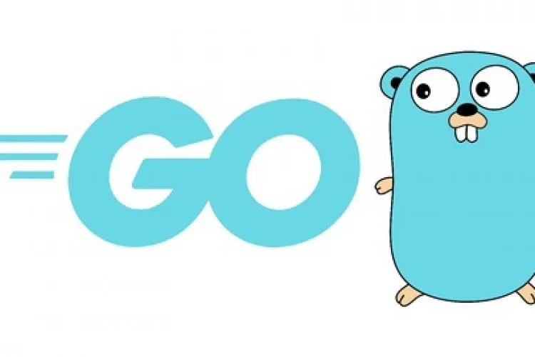 Google's Go (Golang) Programming Language - Beginners Guide