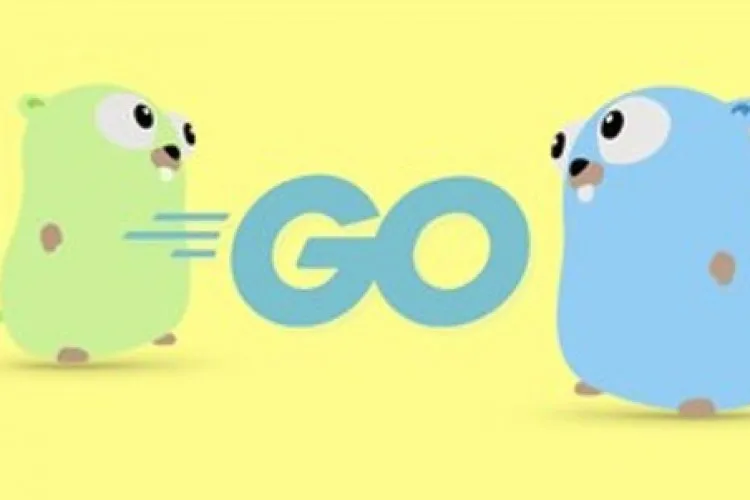 Go Bootcamp: Master Golang with 1000+ Exercises and Projects
