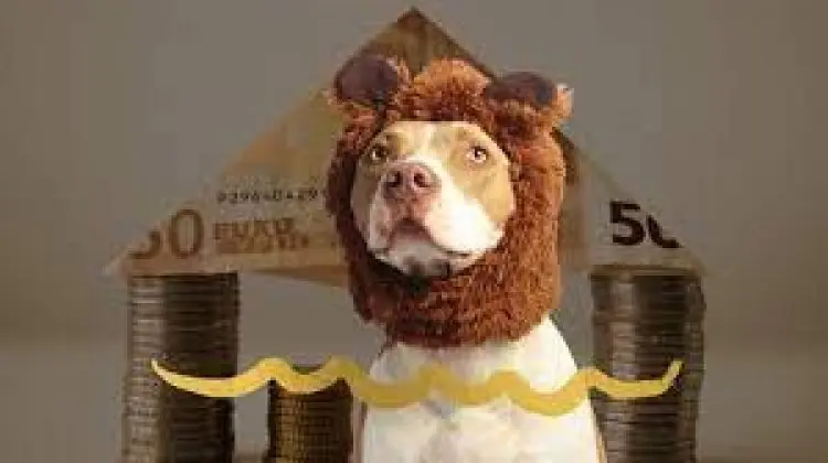 Magnetic Wealth: Become a Conscious Money Creator