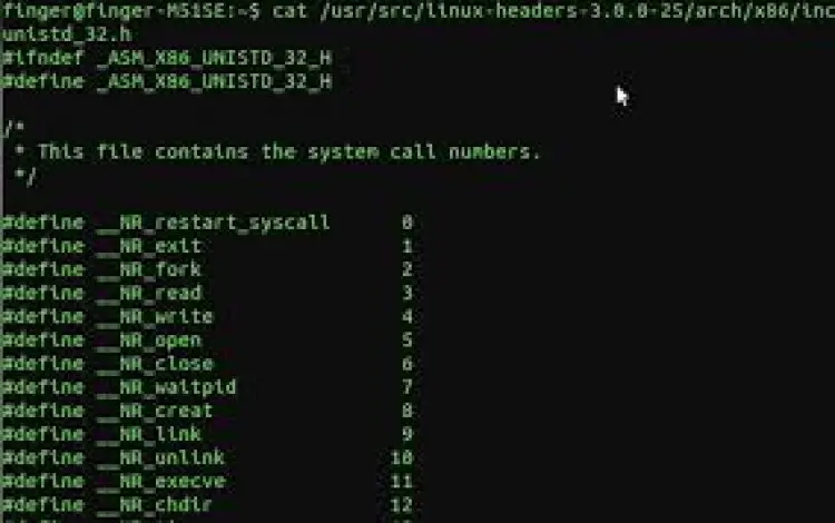 Linux x86 Assembly and Shellcoding