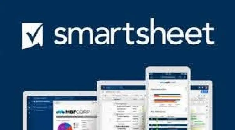 Smartsheet Project Management- The Complete Beginners Course