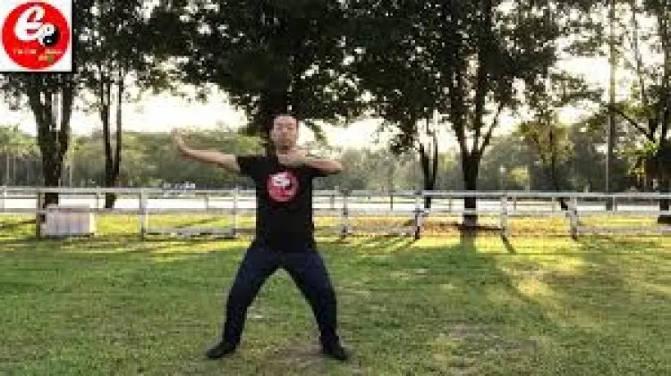 Tai Chi Standing Qi Gong - Relaxation of Mind and Body