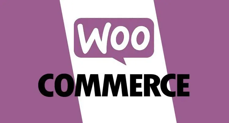 WooCommerce Course: Build E-Commerce Websites (Step by Step)