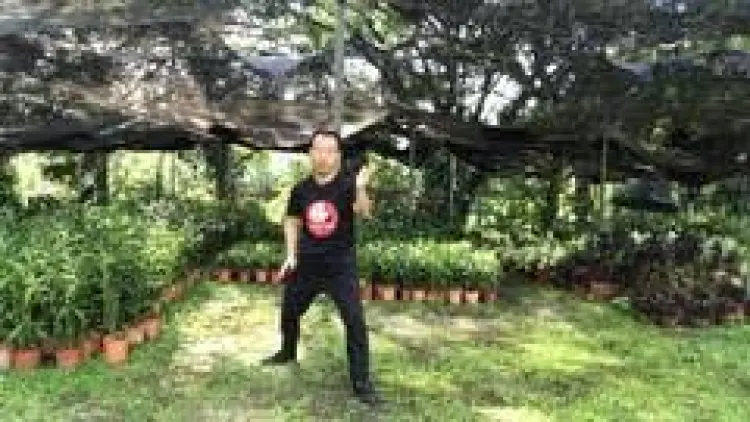 Tai Chi Chen Style 22 for Beginner-Strengthens Mind and Body