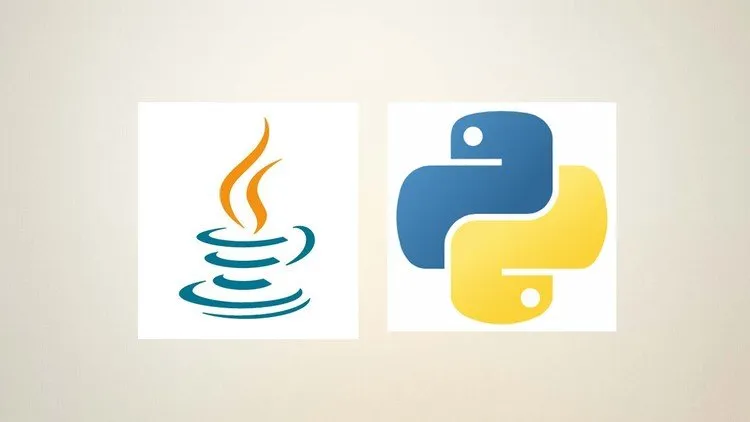 Complete Python and Java Programming BUNDLE [new]