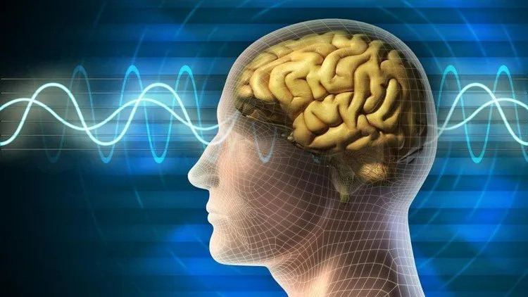 Introduction to Quantum Physics