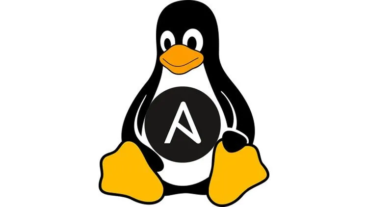Ansible from Beginner to Advanced in No Time!