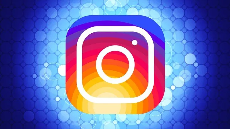 Instagram Marketing & Instagram Ads: Build a Real Following