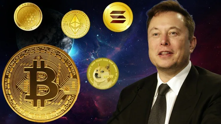 The Complete Cryptocurrency & Blockchain Course: All in One